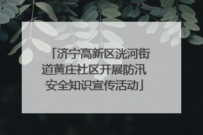 济宁高新区洸河街道黄庄社区开展防汛安全知识宣传活动