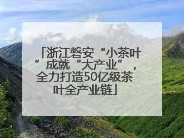 浙江磐安“小茶叶”成就“大产业”，全力打造50亿级茶叶全产业链
