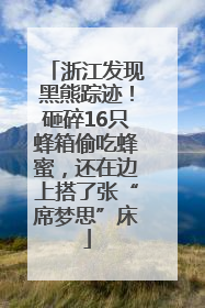 浙江发现黑熊踪迹！砸碎16只蜂箱偷吃蜂蜜，还在边上搭了张“席梦思”床