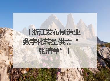 浙江发布制造业数字化转型供需“三张清单”