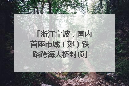 浙江宁波：国内首座市域（郊）铁路跨海大桥封顶