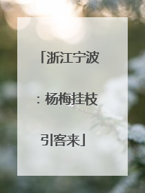 浙江宁波：杨梅挂枝引客来