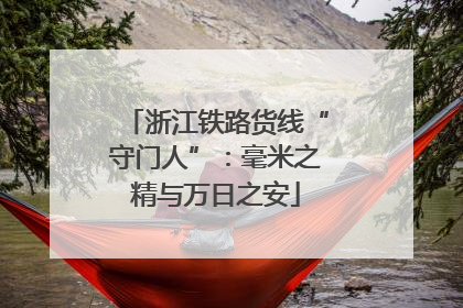 浙江铁路货线“守门人”：毫米之精与万日之安