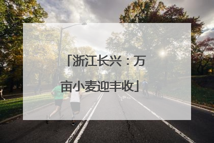 浙江长兴：万亩小麦迎丰收
