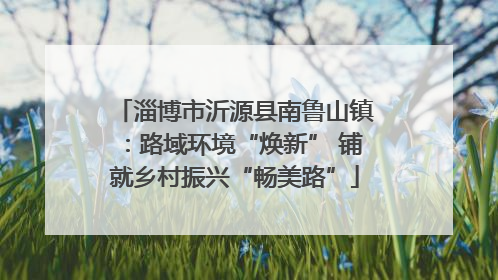 淄博市沂源县南鲁山镇：路域环境“焕新” 铺就乡村振兴“畅美路”