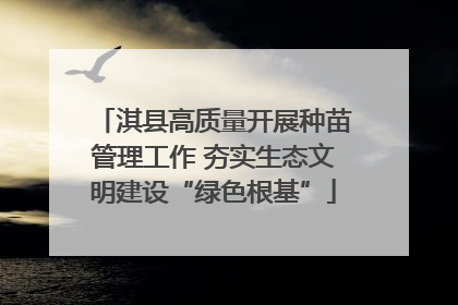 淇县高质量开展种苗管理工作 夯实生态文明建设“绿色根基”