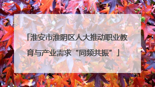 淮安市淮阴区人大推动职业教育与产业需求“同频共振”