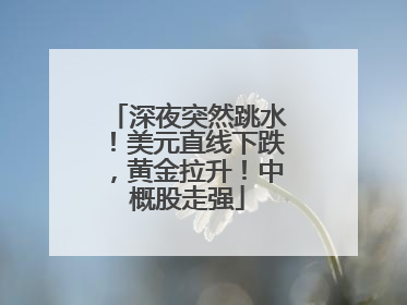 深夜突然跳水！美元直线下跌，黄金拉升！中概股走强