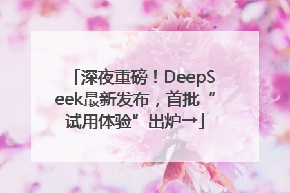深夜重磅！DeepSeek最新发布，首批“试用体验”出炉→