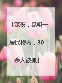 深夜，昆明一居民楼内，30余人被抓