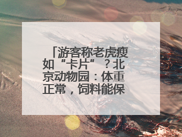 游客称老虎瘦如“卡片”？北京动物园：体重正常，饲料能保障营养需求