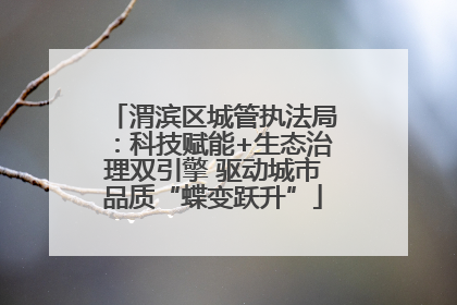 渭滨区城管执法局：科技赋能+生态治理双引擎 驱动城市品质“蝶变跃升”