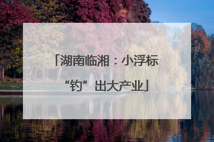 湖南临湘：小浮标“钓”出大产业