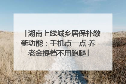 湖南上线城乡居保补缴新功能：手机点一点 养老金提档不用跑腿