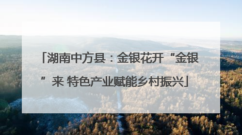 湖南中方县：金银花开“金银”来 特色产业赋能乡村振兴