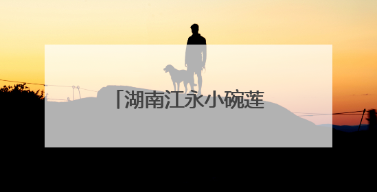 湖南江永小碗莲绽放致富新活力
