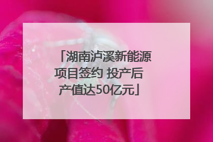 湖南泸溪新能源项目签约 投产后产值达50亿元