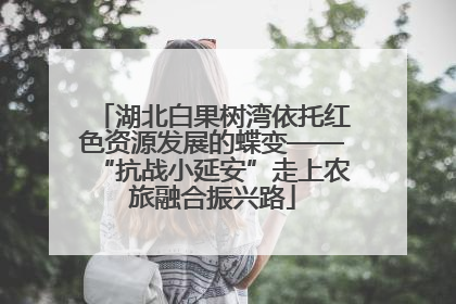湖北白果树湾依托红色资源发展的蝶变——“抗战小延安”走上农旅融合振兴路