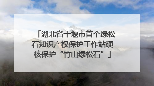 湖北省十堰市首个绿松石知识产权保护工作站硬核保护“竹山绿松石”
