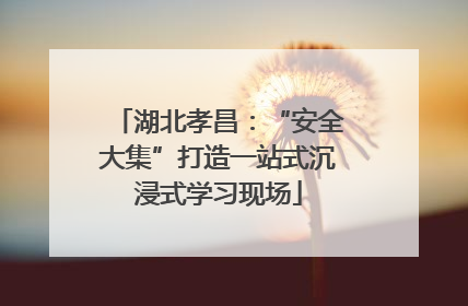 湖北孝昌：“安全大集”打造一站式沉浸式学习现场