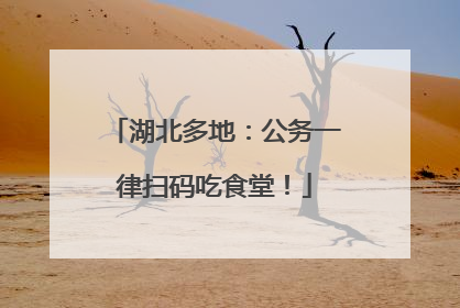 湖北多地：公务一律扫码吃食堂！