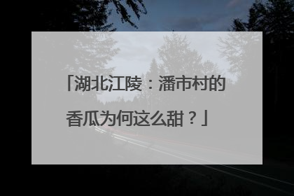 湖北江陵：潘市村的香瓜为何这么甜？