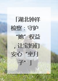 湖北钟祥检察：守护“她”权益，让宝妈们安心“坐月子”