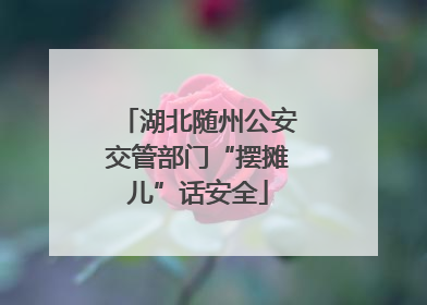 湖北随州公安交管部门“摆摊儿”话安全