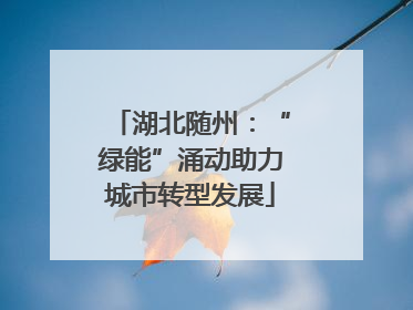 湖北随州：“绿能”涌动助力城市转型发展