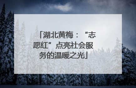 湖北黄梅：“志愿红”点亮社会服务的温暖之光