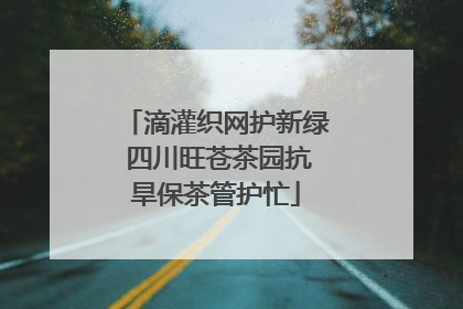 滴灌织网护新绿 四川旺苍茶园抗旱保茶管护忙