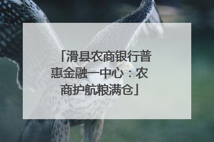 滑县农商银行普惠金融一中心：农商护航粮满仓