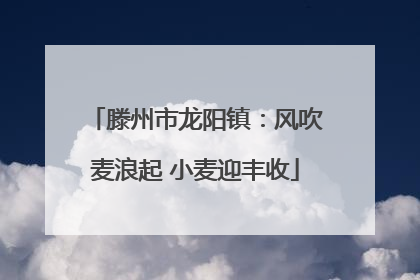 滕州市龙阳镇：风吹麦浪起 小麦迎丰收