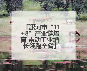 漯河市“11+8”产业链培育 带动工业增长领跑全省