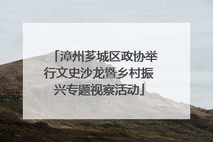 漳州芗城区政协举行文史沙龙暨乡村振兴专题视察活动