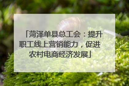 菏泽单县总工会：提升职工线上营销能力，促进农村电商经济发展