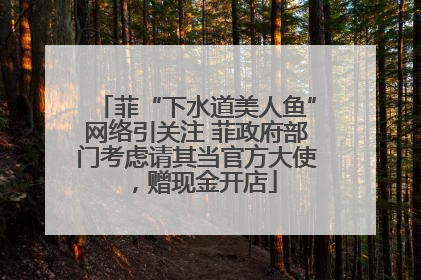 菲“下水道美人鱼”网络引关注 菲政府部门考虑请其当官方大使，赠现金开店