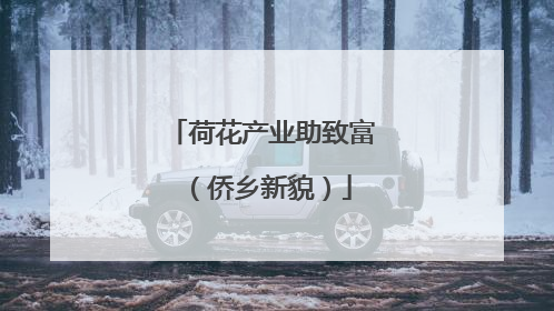 荷花产业助致富（侨乡新貌）