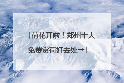 荷花开啦！郑州十大免费赏荷好去处→