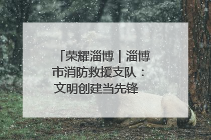 荣耀淄博｜淄博市消防救援支队：文明创建当先锋 蓝焰映红建新功