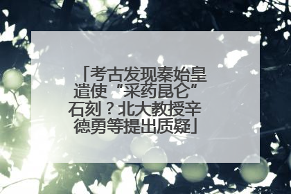 考古发现秦始皇遣使“采药昆仑”石刻？北大教授辛德勇等提出质疑