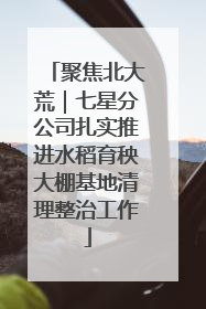 聚焦北大荒｜七星分公司扎实推进水稻育秧大棚基地清理整治工作