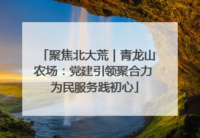 聚焦北大荒｜青龙山农场：党建引领聚合力 为民服务践初心