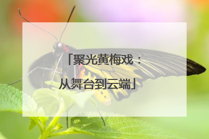 聚光黄梅戏：从舞台到云端