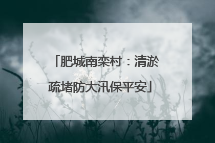 肥城南栾村：清淤疏堵防大汛保平安