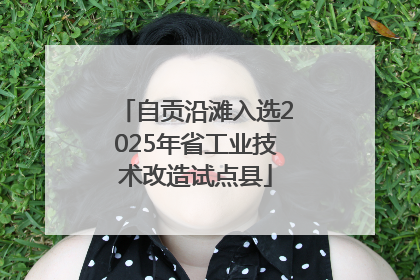 自贡沿滩入选2025年省工业技术改造试点县