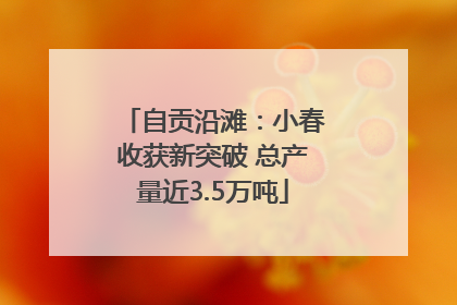 自贡沿滩：小春收获新突破 总产量近3.5万吨