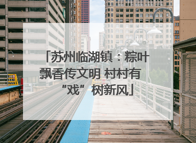 苏州临湖镇：粽叶飘香传文明 村村有“戏”树新风