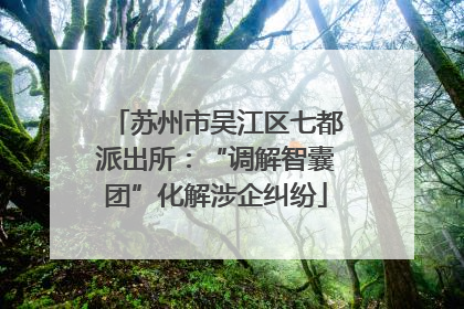 苏州市吴江区七都派出所：“调解智囊团”化解涉企纠纷