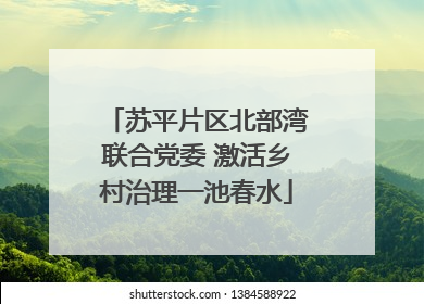 苏平片区北部湾联合党委 激活乡村治理一池春水
